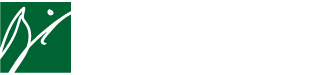 bingler + partner Logo